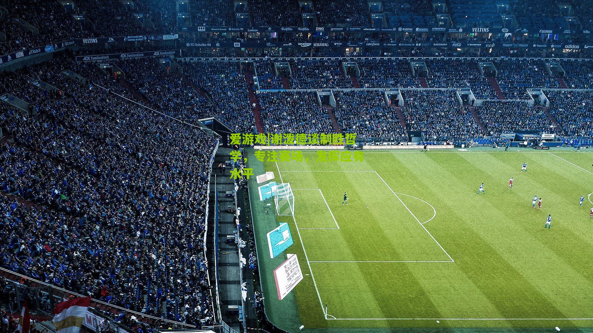 谢泼德谈制胜哲学，专注赛场，发挥应有水平