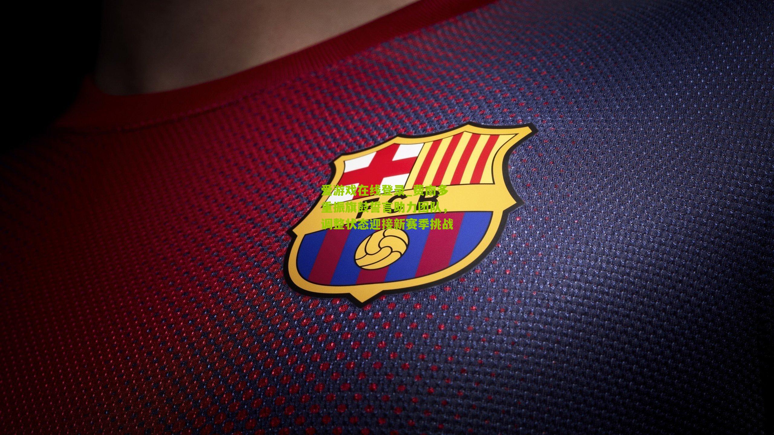 费南多重振旗鼓誓言助力团队,调整状态迎接新赛季挑战